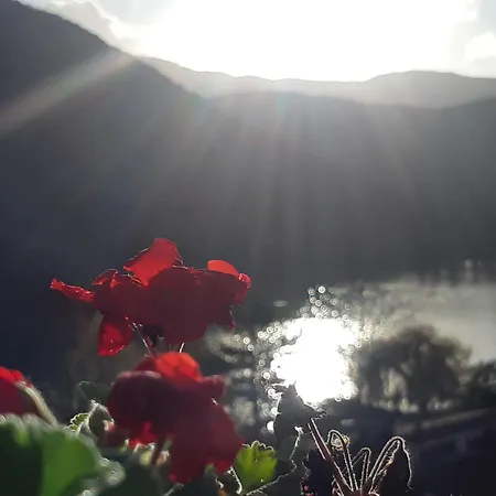 Sopra Le Nuvole Διαμέρισμα Piediluco