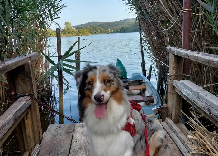 Sopra Le Nuvole * Пьедилуко